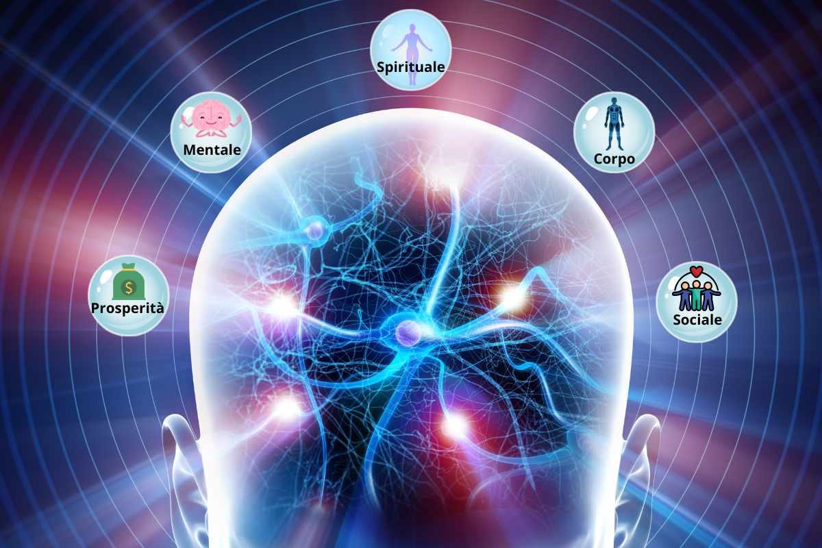 Un diagramma che rappresenta il cervello limbico e le sue connessioni con le 5 sfere della vita.